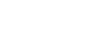 Festival Fitness